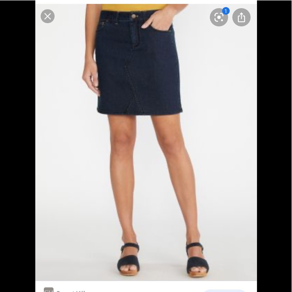 Garnet Hill denim skirt